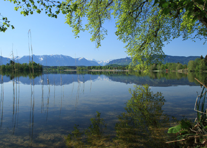 Staffelsee